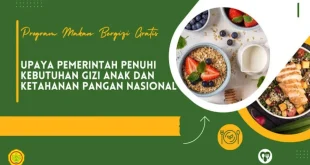 20.419 Dapur Makan Bergizi Gratis Layani 50 Juta Penerima