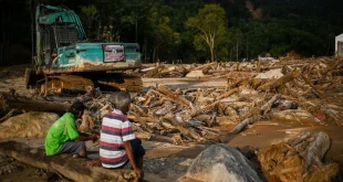 28 Perusahaan Perusak Hutan Sumatera Dicabut Izinnya oleh Pemerintah
