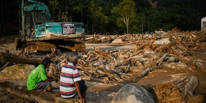 28 Perusahaan Perusak Hutan Sumatera Dicabut Izinnya oleh Pemerintah