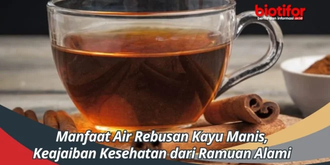 7 Manfaat Minum Air Rebusan Kayu Manis untuk Kesehatan