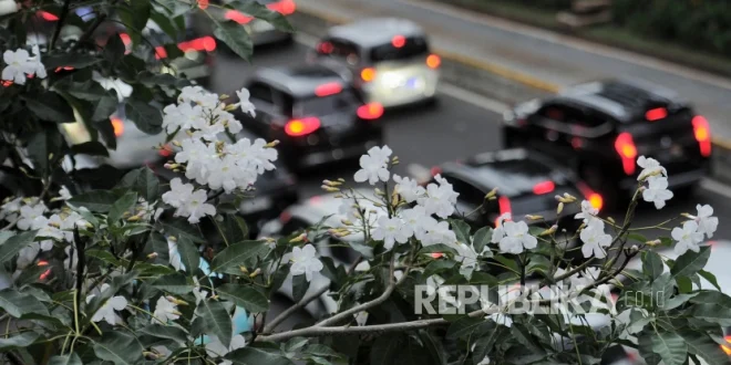 Al-Hikam: Nasihat Hikmah sebagai Makanan Jiwa Spiritual