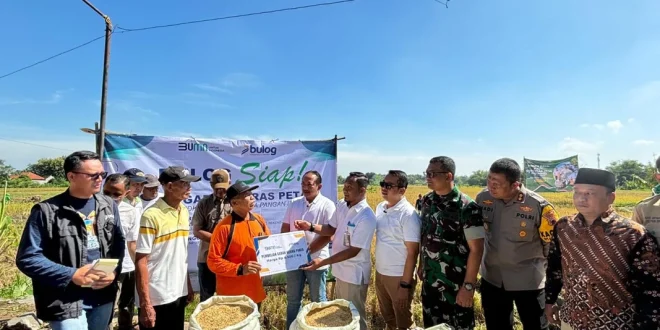 Analisis Ekspor Beras Bulog 1 Juta Ton dan Dampak Ekonomi