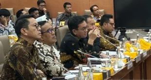 Analisis Harga Minyakita HET Februari: Dampak Ekonomi dan Pasar