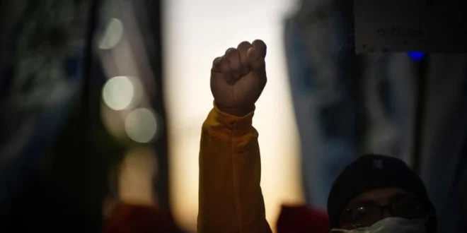 Ancaman Terbaru Said bin al-Musayyib dan Dampak Chilling Effect Aktivis