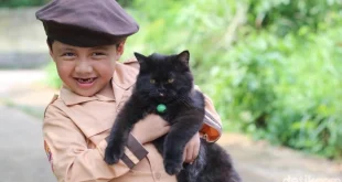 Bukti Ilmiah: Manfaat Memelihara Kucing Turunkan Risiko Penyakit Jantung