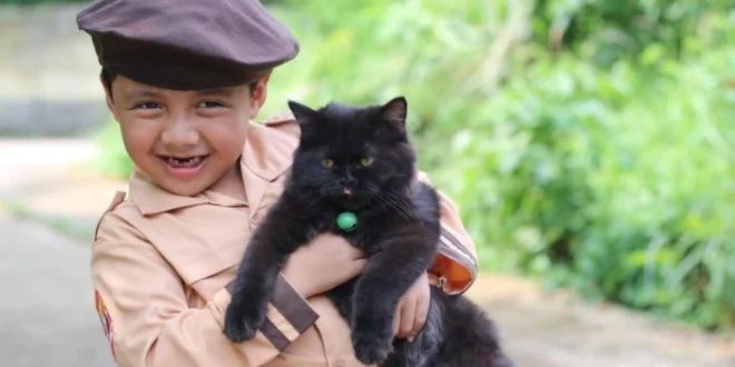 Bukti Ilmiah: Manfaat Memelihara Kucing Turunkan Risiko Penyakit Jantung