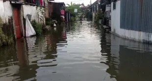 Dampak Banjir Bandang 6 Kecamatan di Lamongan Jawa Timur