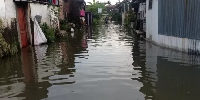 Dampak Banjir Bandang 6 Kecamatan di Lamongan Jawa Timur