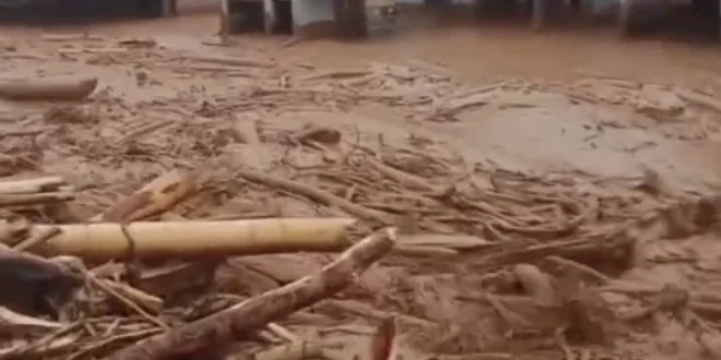 Dampak Banjir Bandang dan Longsor di Tapanuli Tengah Terbaru