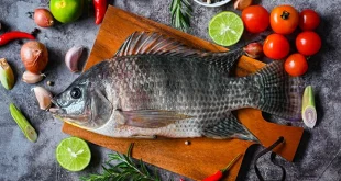 Ikan Terbaik untuk Kesehatan di Indonesia dan Manfaat Nutrisi Lengkap