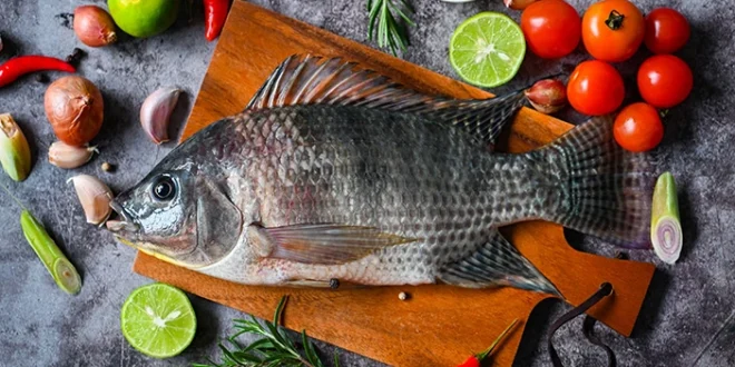 Ikan Terbaik untuk Kesehatan di Indonesia dan Manfaat Nutrisi Lengkap