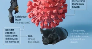 Indonesia Waspada Virus Nipah, Kalbar Siaga Deteksi Dini