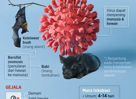 Indonesia Waspada Virus Nipah, Kalbar Siaga Deteksi Dini