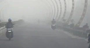 Karhutla Aceh Barat Meluas 9 Hektare, Upaya Pemadaman dan Dampak Asap