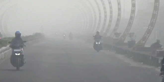 Karhutla Aceh Barat Meluas 9 Hektare, Upaya Pemadaman dan Dampak Asap