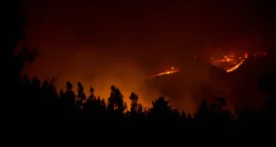 Kebakaran Hutan Chile: Dampak dan Penanganan Darurat Nasional