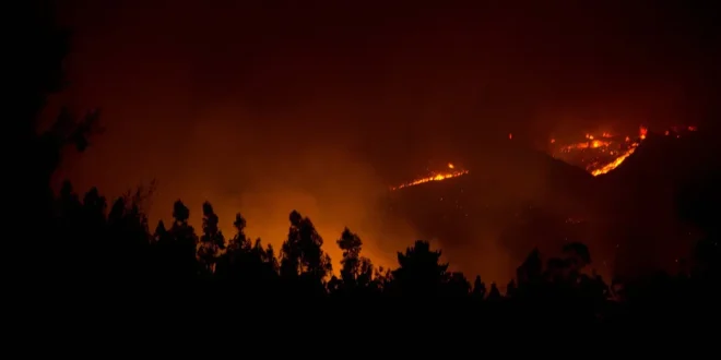 Kebakaran Hutan Chile: Dampak dan Penanganan Darurat Nasional