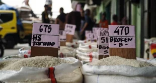 Kebijakan Pemerintah 2026: Tanpa Impor Beras dan Gula Konsumsi