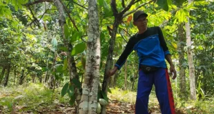 Kemenhut Target 1,1 Juta Hektare Perhutanan Sosial 2025