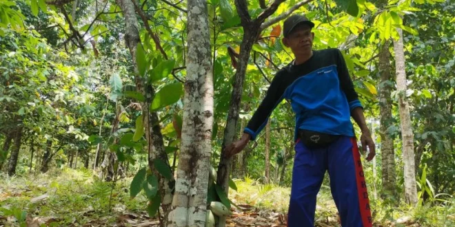 Kemenhut Target 1,1 Juta Hektare Perhutanan Sosial 2025