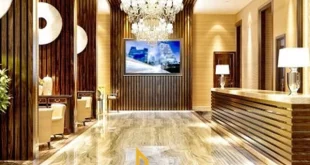 Kenapa Tamu Hotel Harus Hindari Kamar Lantai Dasar?