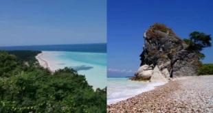 Kontainer Kentang Goreng Jatuh, Pantai Inggris Jadi Lautan Makanan