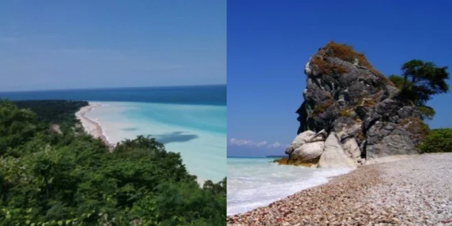 Kontainer Kentang Goreng Jatuh, Pantai Inggris Jadi Lautan Makanan