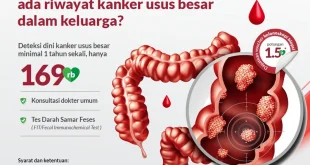 Lonjakan Kasus DBD Sumsel dan Varian Influenza A H3N2 Terbaru