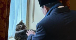 Momen Unik Larry The Cat Sambut Presiden Prabowo di Inggris