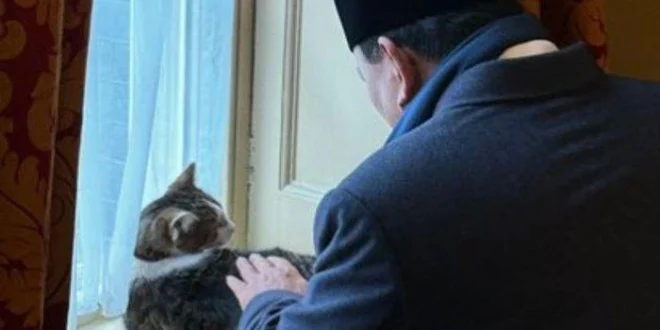 Momen Unik Larry The Cat Sambut Presiden Prabowo di Inggris