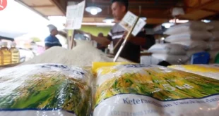 Pemerintah Targetkan Program Beras Satu Harga untuk Stabilitas Pangan