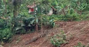 Relokasi Permanen Pemukiman Longsor Cisarua dan Reboisasi Tanah