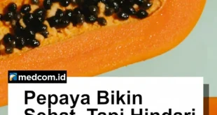 Risiko Konsumsi Pepaya dengan Makanan Berbahaya Dijelaskan Lengkap