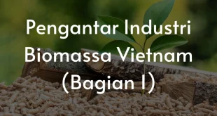 Tantangan dan Peluang Industri Biomassa di Indonesia Kini
