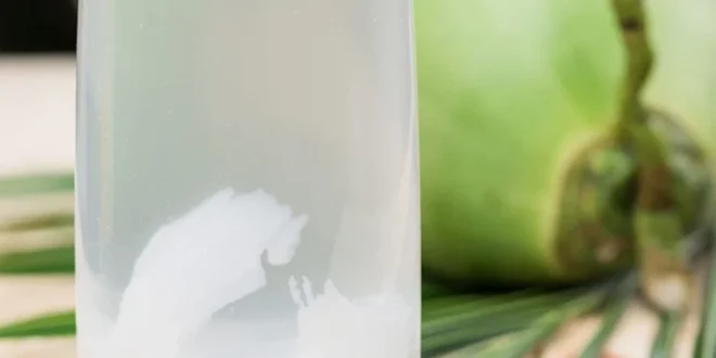 Waktu Terbaik Minum Air Kelapa untuk Manfaat Kesehatan Maksimal