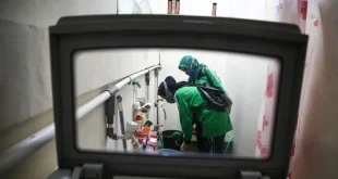 Waspada DBD di Jakarta Barat, Superflu Belum Terdeteksi