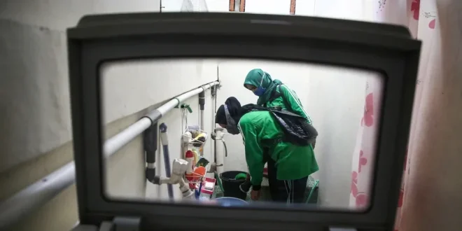 Waspada DBD di Jakarta Barat, Superflu Belum Terdeteksi